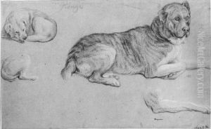 Ulmerdogg, liggande, samt andra hundstudier Ulmerdogg, liggande, samt andra hundstudier