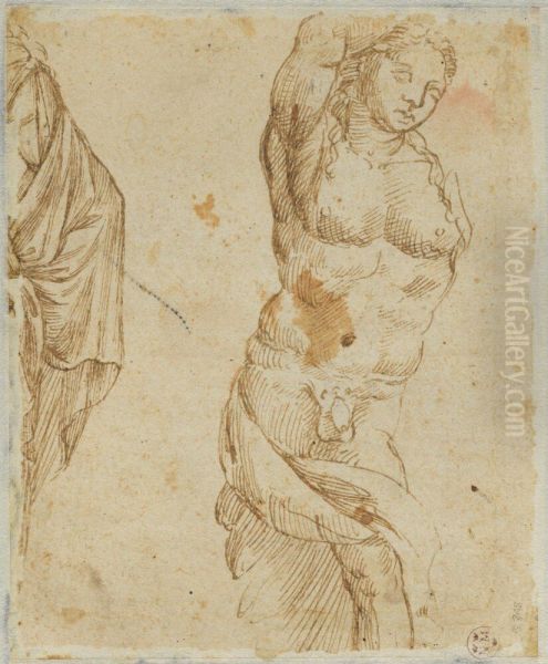 Studies of Antique Sculptures - view 1