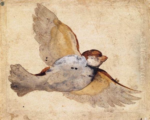 Study of a Flying Sparrow - view 1