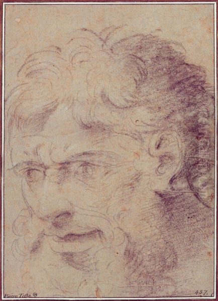 Study of a male head - view 1