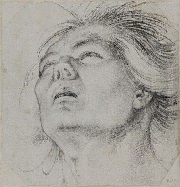 Head of a Young Man, Seen From Below - view 1