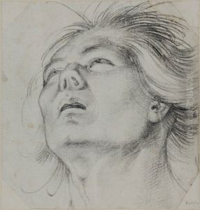 Head of a Young Man, Seen From Below by Hans Baldung Grien
