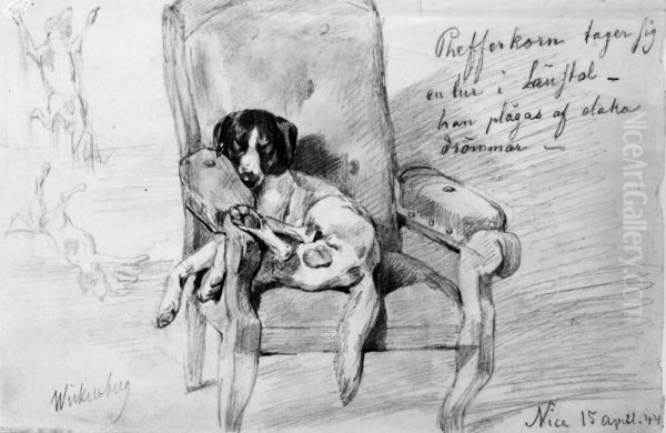 Hund liggande i lanstol - view 1