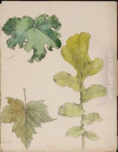 Tre blad, malva, vinbar och radisa. Ingar i skissbok med blomstudier