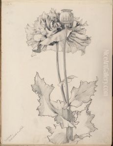 Skissbok, 54 blad, med blomstudier och frukter