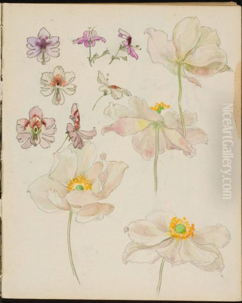 Skissbok, 51 blad, mest blomstudier - view 1