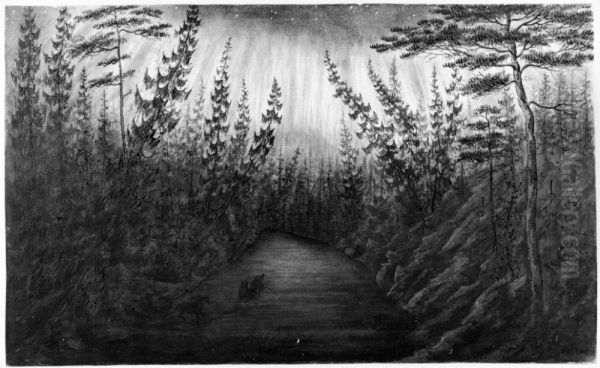 Aurore boreale - view 1