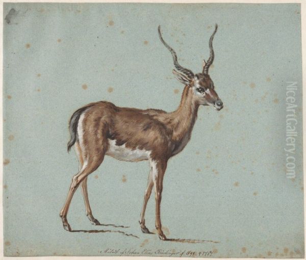 Gazelle - view 1