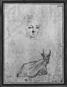 Anna-Maria Vaiani; liggande ko