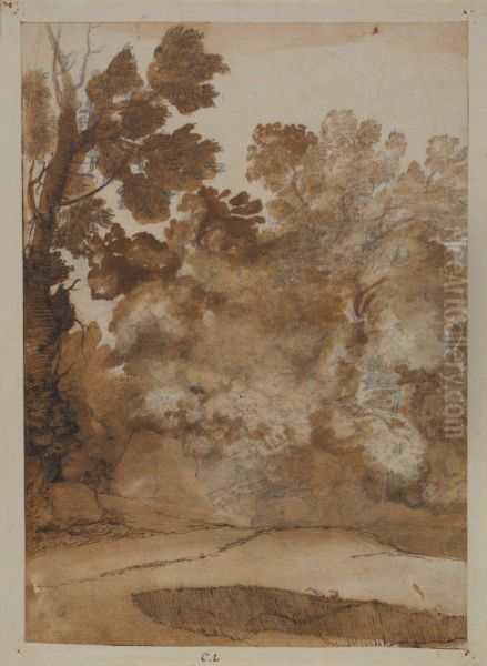 View with Trees and Running Child - view 1