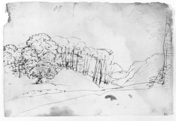 Valley with Trees - view 1