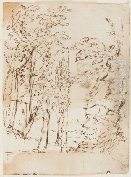 Trees - view 1