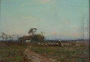 Return Of The Flock
