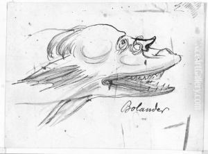 Bolander