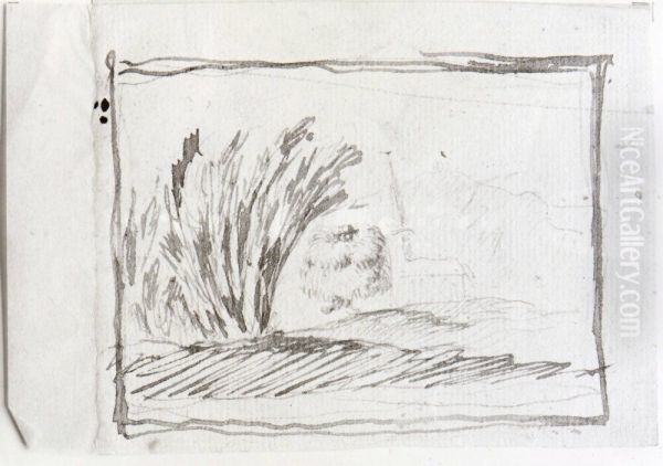 Grotesk kvinna. Mademoiselle Weidehaupt - view 1