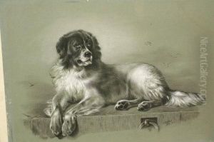 St Bernard, Resting On A Quay by Jennie Cooper Calvert