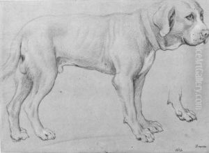 Bullmastiff, staende by Alexandre-Francois Desportes