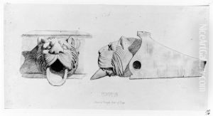 Venustemplet, Pompeji. Avloppshuv for regnvatten i form av lejonhuvud, s.k. kattoxe