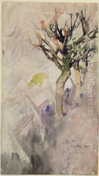 Study of a Tree - view 1