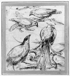Doves and Phaesants by Giovanni da Udine