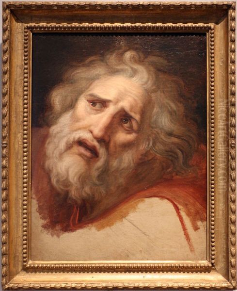 Head of Laocoon - view 1