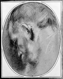 Head of an Elderly Man