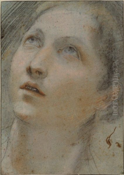 Head of a Woman - view 1