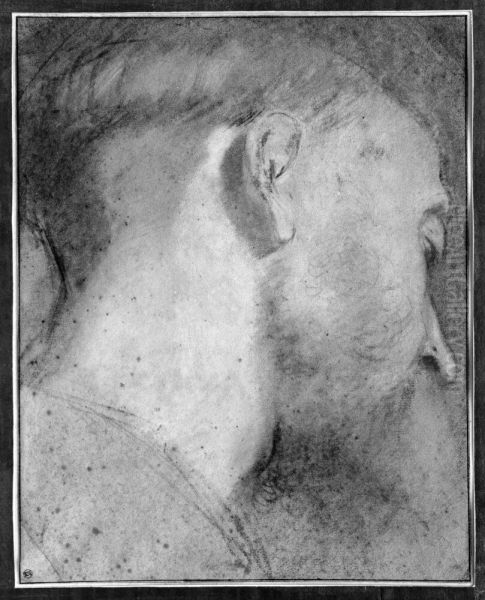 Head of a Man Inclined Downwards to the Right - view 1