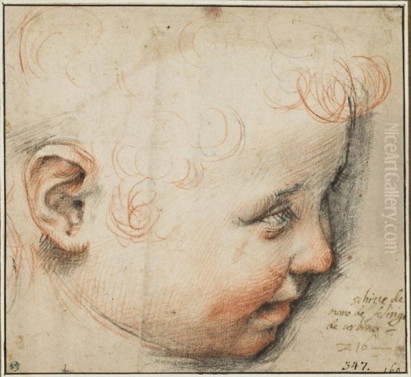 A Child's Head in Profile; Perhaps for the Infant Christ - view 1
