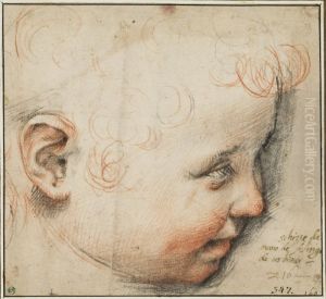 A Child's Head in Profile; Perhaps for the Infant Christ