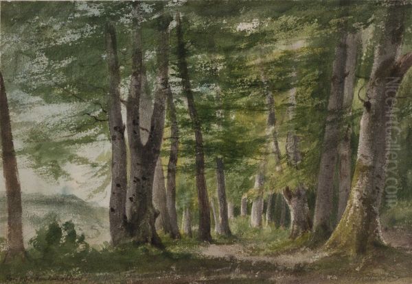 Forest of Fontainebleau - view 1