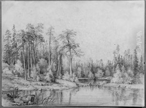 Forest Lake Forest Lake