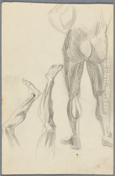 Anatomistudier - view 1