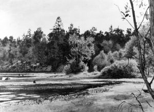 Strandlandskap by Albert Theodor Gellerstedt