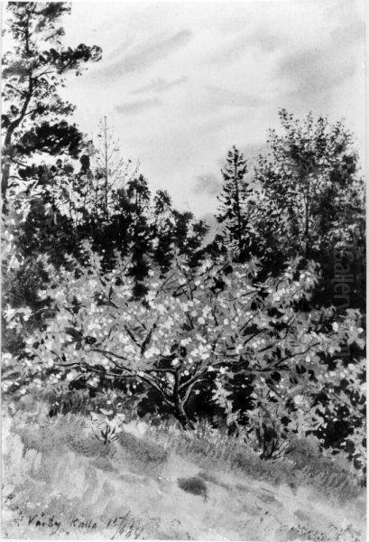 Blommande frukttrad, Varby - view 1