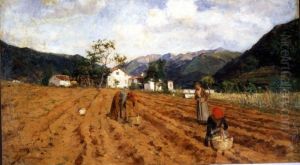 The potato harvest