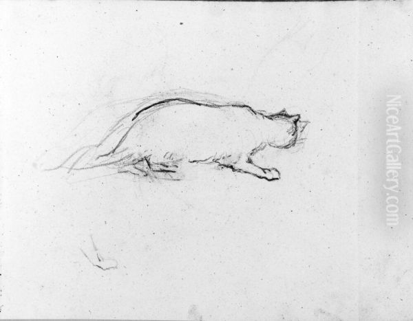 Smygande katt. Blad 35 i skissbok om 36 blad - view 1