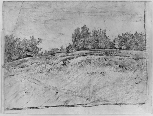 Skogslandskap, Frankrike - view 1