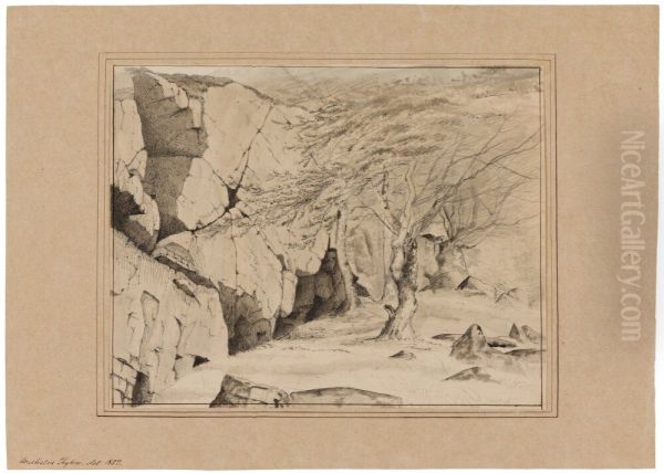 Studies of cows and a city landscape - view 1