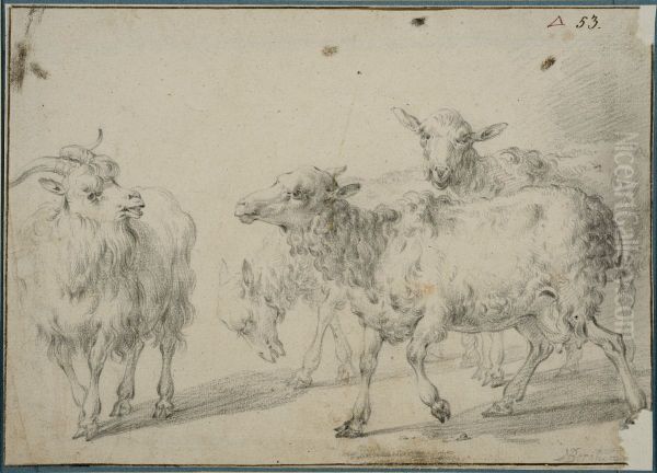 En flock far - view 1