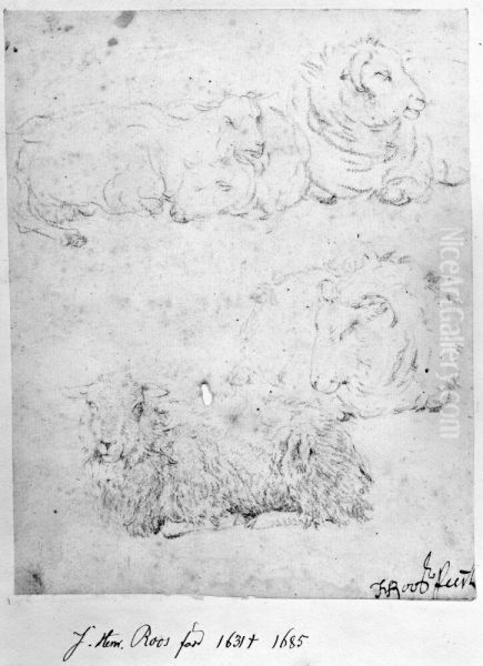 Vilande far - view 1