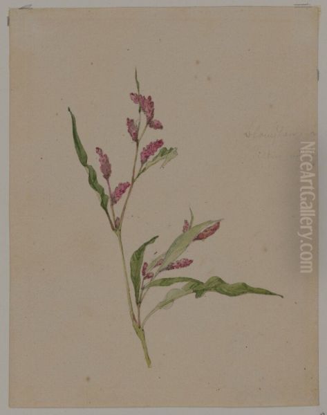Blomsterstudie - view 1