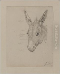 Head of a Donkey by Jorgen Roed