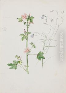 Botanical Study, Mallow and Bluebell Botanical Study, Mallow and Bluebell