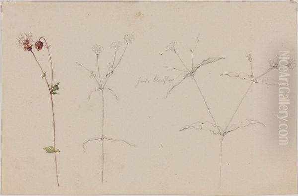 Blomsterstudie - view 1