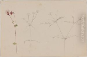 Blomsterstudie by Jorgen Roed