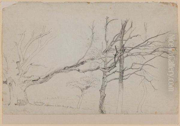 Enclosed Pasture at Frederiksborg - view 1