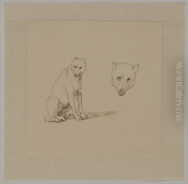 Hundstudier - view 1
