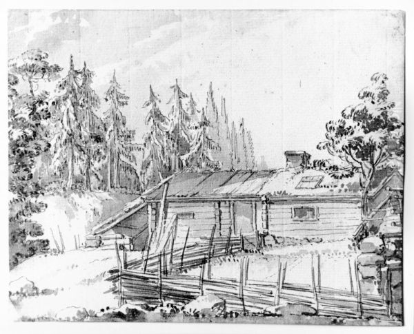 Torvtackt stuga i skogen - view 1