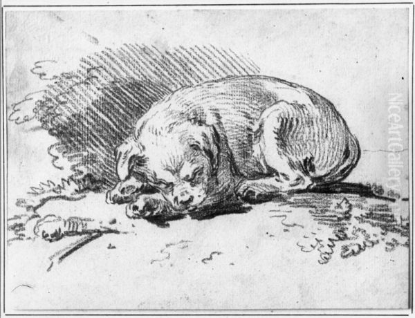 Sovande knahund - view 1